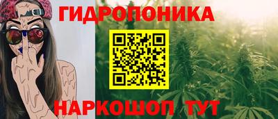 бошки Ставрополь