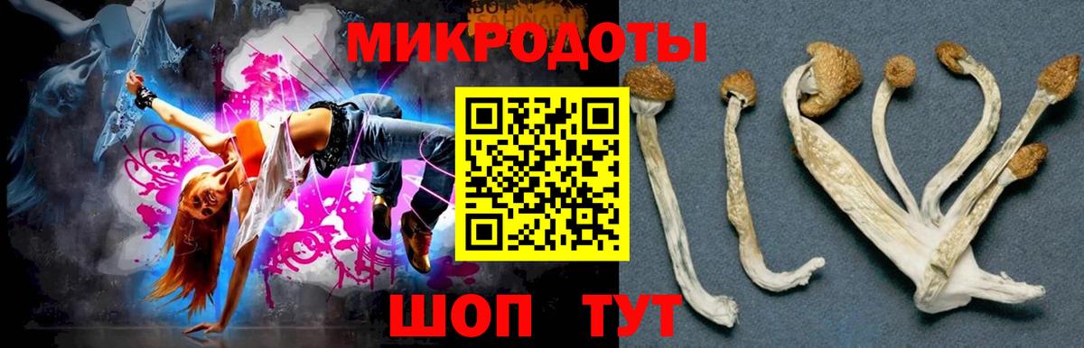 Псилоцибиновые грибы Psilocybine cubensis  закладка  Новоуральск  Вход с VPN 
